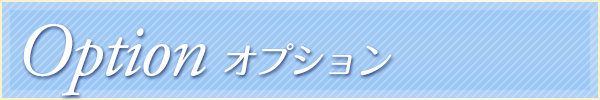 五反田 巨乳風俗 ウルトラファンタジー オプション